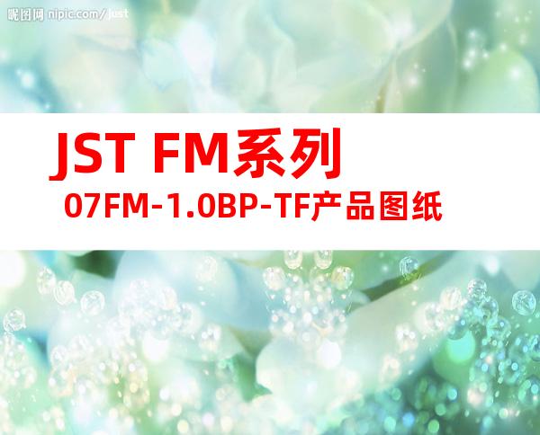 JST FM系列 07FM-1.0BP-TF产品图纸